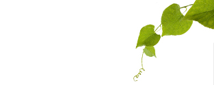 Grower's Secret Social Media