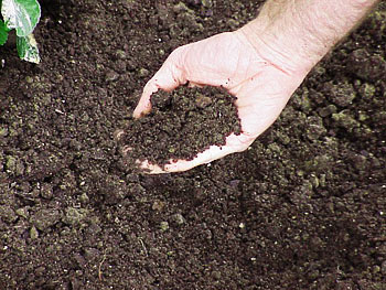 organic soil resized 600