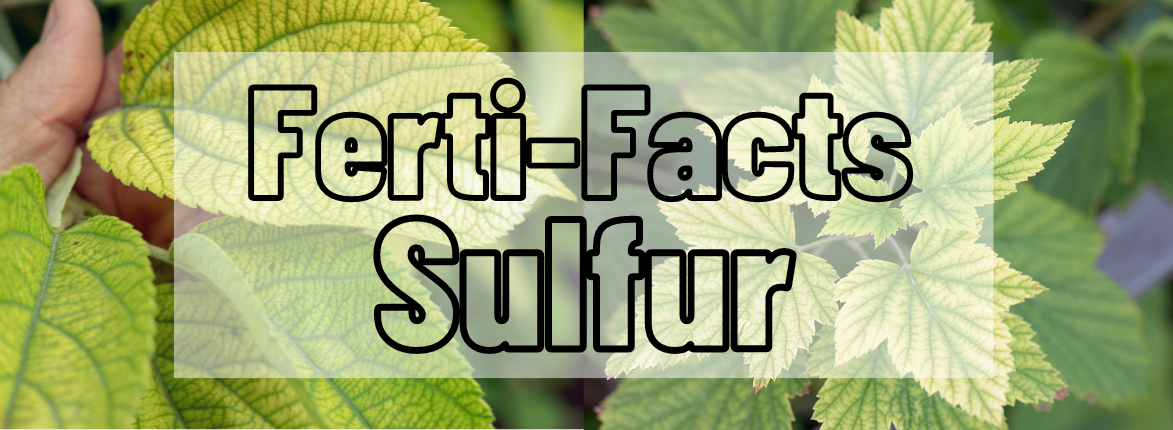 Ferti-Facts