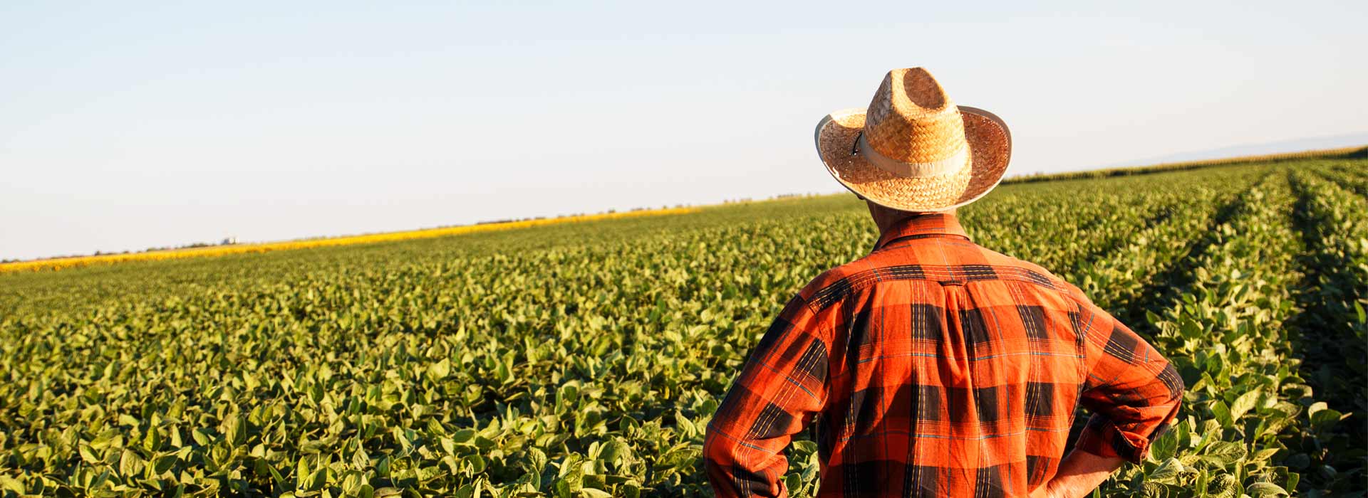 banner-farmer-field
