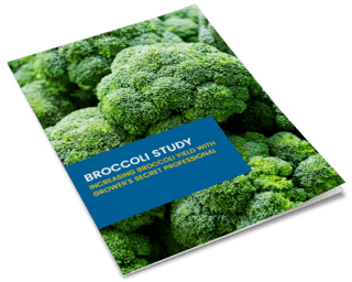 ebook-mockup-broccoli-study-v2.png