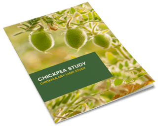 ebook-mockup-chickpea-study-v2.png