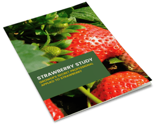 ebook-mockup-strawberry-study-v2.png