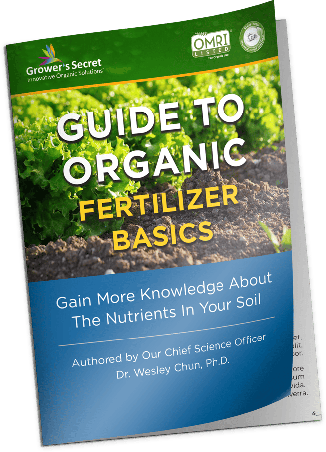 Free eBook Guide to Organic Fertilizer Basics