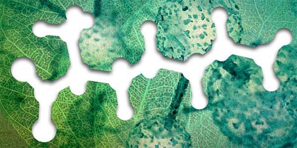 amino-acid-leaves-600x300 amino-acid-leaves-600x300