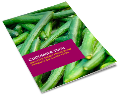 Cucumber Trial